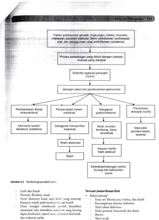 Gambar 4.3 Patofisiologi penyakit Crohn