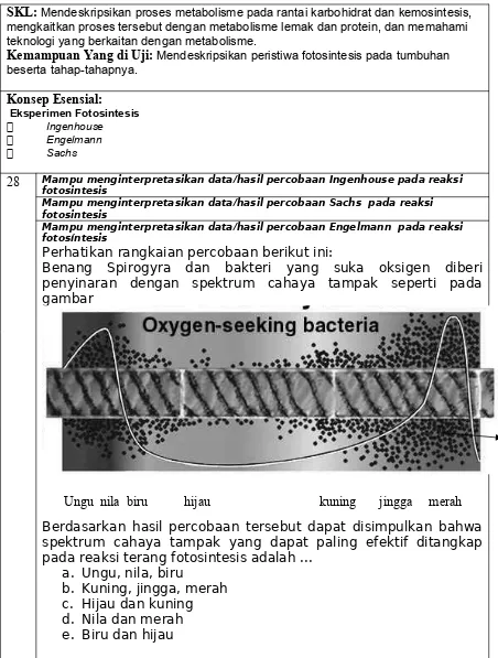 gambar Bakteri 