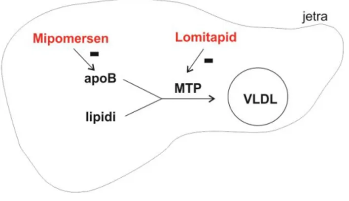 Figure 2. Mechanism of action of mipomersen and  lomitapide 