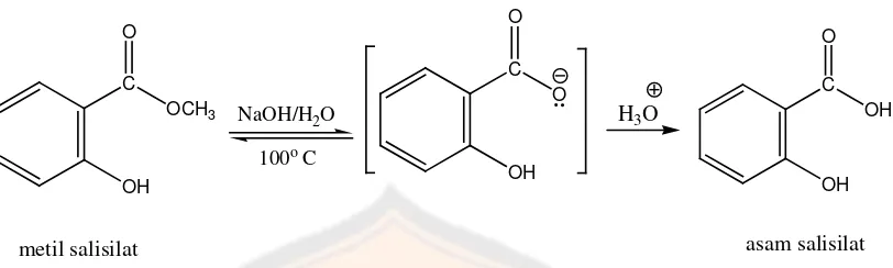Gambar 2. Pembentukan asam salisilat (Newton, 2011) 