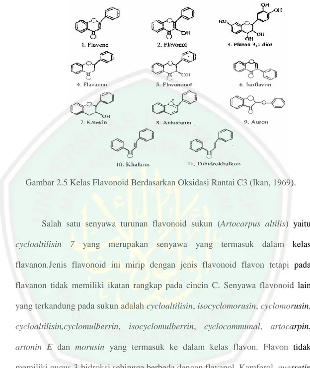 Gambar 2.5 Kelas Flavonoid Berdasarkan Oksidasi Rantai C3 (Ikan, 1969). 