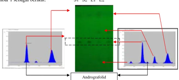 Gambar 1.  Profil Kromatogram Baku andrografolid (S) dan  ekstrak sambiloto (E), diamati  pada UV 254 nm 