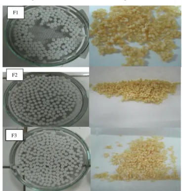 Gambar 1.  Foto mikropartikel  ketoprofen-kitosan (A: sebelum  pengeringan, B : setelah pengeringan) 