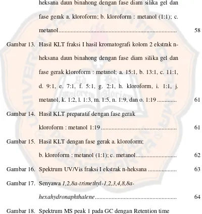 Gambar 13. Hasil KLT fraksi I hasil kromatografi kolom 2 ekstrak n-