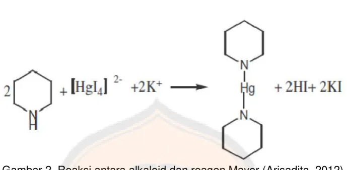 Gambar 2. Reaksi antara alkaloid dan reagen Mayer (Arisadita, 2012)