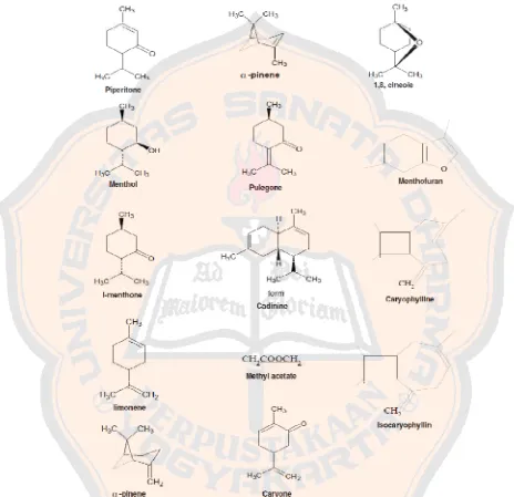Gambar 5. Struktur kandungan kimia dalam minyak peppermint (Alankar, 2009)