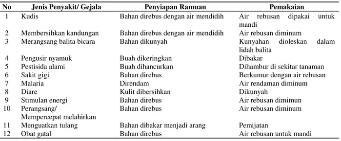 Tabel 6. Penyiapan ramuan, cara pemakaian dan jenis penyakit yang diobati pada lima suku pesisir di tanah  