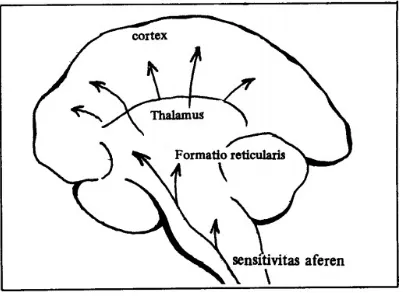 Gambar 2.2. A theoretical model to illustrate the neurophysiological mechanism