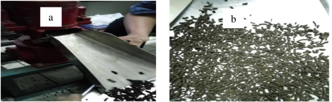 Gambar 1. Mesin pembuatan pupuk pelet (a) dan pupuk pelet yang diproduksi (b)  Pola Pelepasan Amonium (N-NH 4 + ) dan Nitrat 