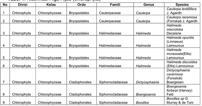 Tabel 1. Klasifikasi Alga Hijau (chlorophyta) 