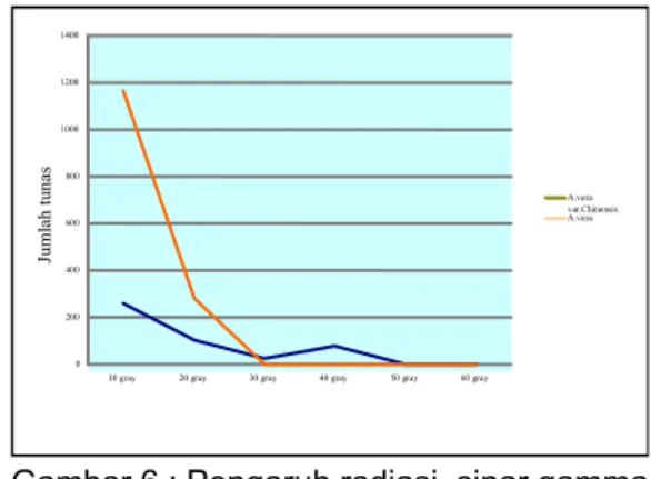 Gambar 6 : Pengaruh radiasi  sinar gamma  terhadap jumlah tunas lidah  buaya