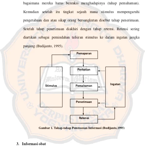Gambar 1. Tahap-tahap Pemrosesan Informasi (Budijanto,1995) 