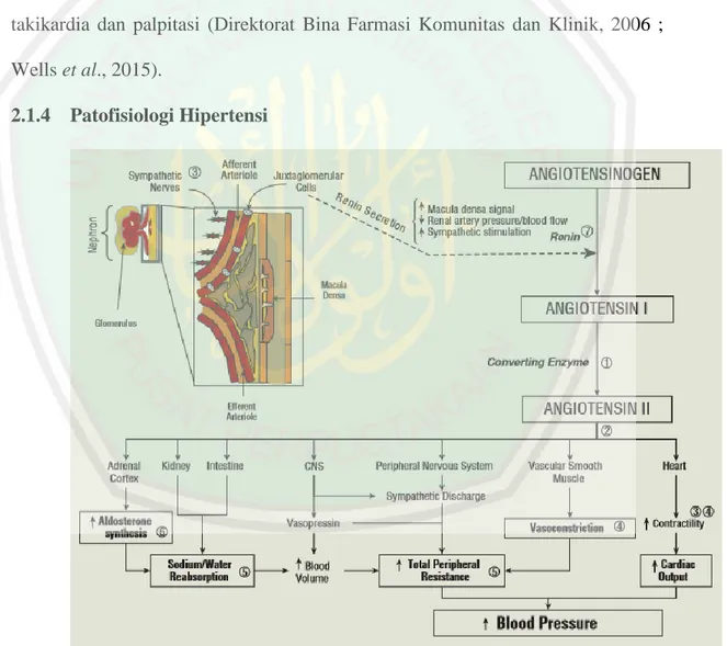 Gambar 2.1 Sistem Renin Angiotensin Aldosteron (Dipiro et al., 2008)  Sistem renin angiotensin juga merupakan faktor penting dalam pengaturan  tekanan  darah  arteri  jangka  pendek  dan  jangka  panjang