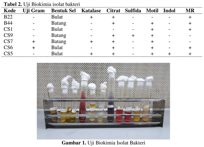 Tabel 2. Uji Biokimia isolat bakteri 