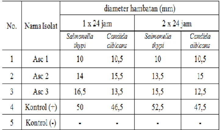 Tabel  3.  Hasil  pengukuran  diameter  hambatan  isolat  jamur  simbion  tunikata  setelah  dishaker  selama  7x24  jam  dengan  waktu  inkubasi  selama  1x24  jam  dan  2x24 jam