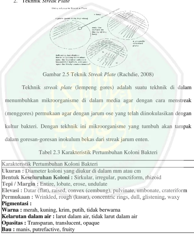 Gambar 2.5 Teknik Streak Plate (Rachdie, 2008) 