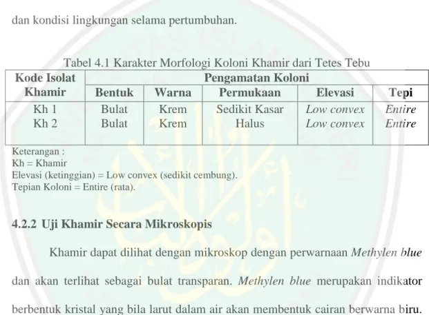 Tabel 4.1 Karakter Morfologi Koloni Khamir dari Tetes Tebu  Kode Isolat 