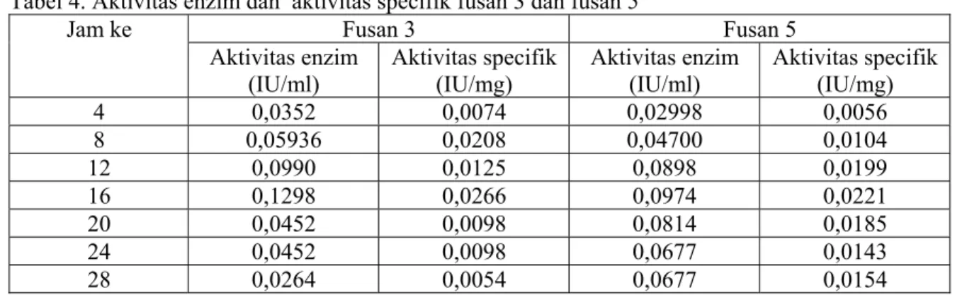 Tabel 4. Aktivitas enzim dan  aktivitas specifik fusan 3 dan fusan 5 Fusan 3 Fusan 5Jam ke Aktivitas enzim (IU/ml) Aktivitas specifik(IU/mg) Aktivitas enzim(IU/ml) Aktivitas specifik(IU/mg) 4 0,0352 0,0074 0,02998 0,0056 8 0,05936 0,0208 0,04700 0,0104 12 