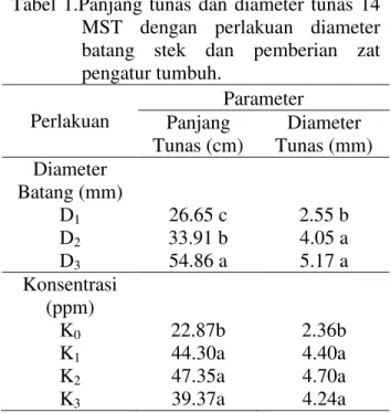 Tabel  1.Panjang  tunas  dan  diameter  tunas  14  MST  dengan  perlakuan  diameter  batang  stek  dan  pemberian  zat  pengatur tumbuh