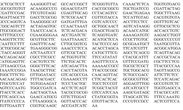 Tabel 11. Hasil analisis BLAST persamaan sekuen gen 16S rRNA isolat ikan pado ZA dengan  Bakteri Gene Bank 