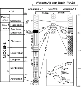 Fig. 2. Correlation between sedimentary sequences drilled at ODP Site 976, and commercial wells Andalucia G1 and AlboranA1