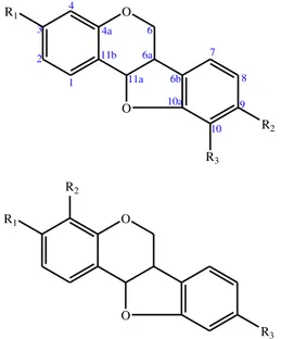 Gambar 4.1. Kerangka struktur senyawa  pterokarpan 