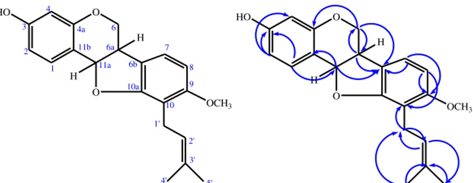 Gambar 3. Korelasi HMBC yang penting pada senyawa sanwisensin 