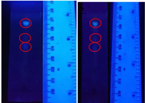 Gambar 1. Profil KLT dibawah lampu UV  254 nm menggunakan pelarut metanol :  kloroform dengan variasi konsentrasi a(7:3), 