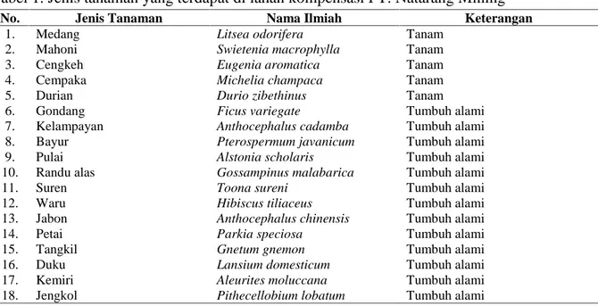 Tabel 1. Jenis tanaman yang terdapat di lahan kompensasi PT. Natarang Mining