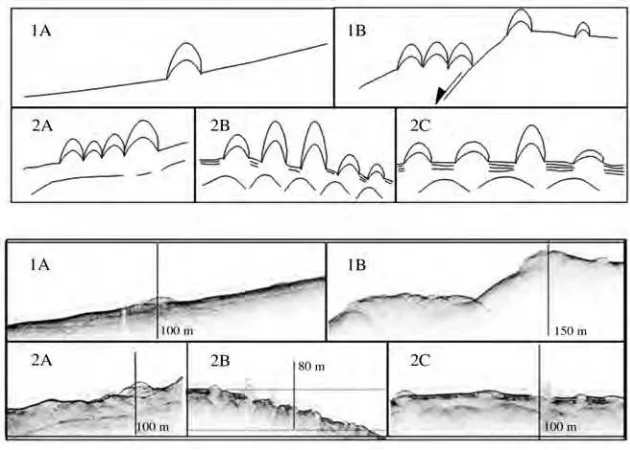 Fig. 13. Different scenarios of the geophysical evidence of transparent mounds identified on the Apulian plateau:1A – isolated mounds, located on the slopes; 1B – small groups near the main dip slip fault steps; 2A – widespreadmounds, cross cutting each others, below which no reflector can be detected; 2B – widespread mounds, cross cut-ting each others, underlined by upward convex reflectors; 2C – small mounds separated by ponded sediments.