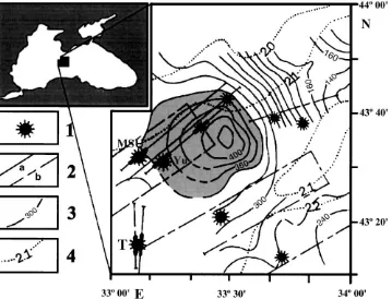 Fig. 7. Map of the distribution of mud volcanoes in the Black Sea Abyssal Plane (modified after Limonov, 1994)