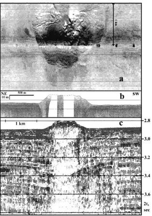 Fig. 8. The Malishev mud volcano (modified after Limonov, 1994). (a) MAK-1 deep tow sidescan sonar image with its corresponding