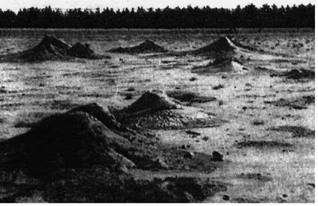 Fig. 3. Three parasite craters in the Bulganak mud volcano, Kerch Peninsula, Ukraine. Two of them are collapsed and filled up by water forming