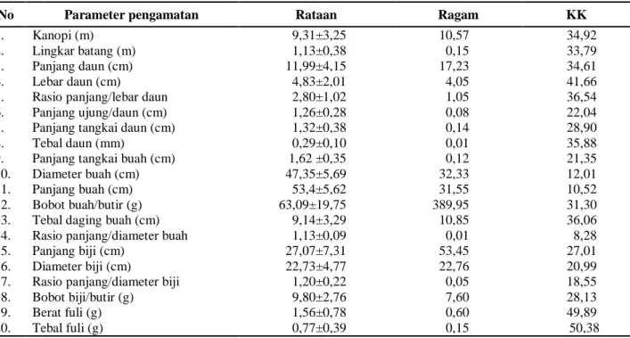 Tabel 2.  Nilai rataan, ragam dan koefisien keragaman (KK) aksesi pala populasi Tidore, Ternate, dan Bogor