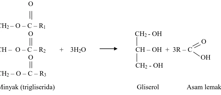 Gambar 2.1. Reaksi Hidrolisis Minyak Secara Umum 