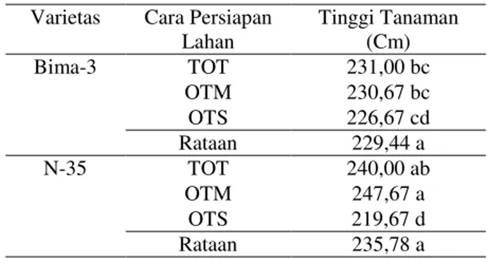 Tabel 3. Pengaruh cara persiapan lahan terhadap hasil dan komponen hasil dua varietas jagung di lahan kering Desa  Balimbing, Kabupaten Tanah Datar, Sumbar  2012 