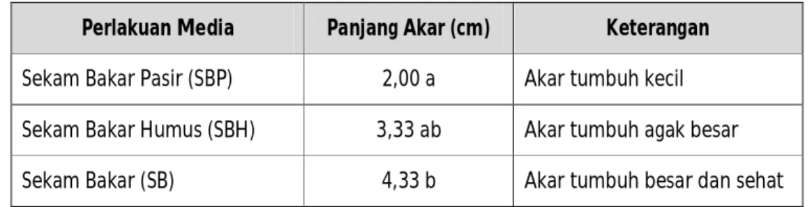 Tabel 1.  Pengaruh Media Stek Terhadap Pertumbuhan Akar Stek Sukun 