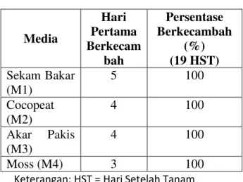 Gambar 1. Perkecambahan biji tanaman sarang  semut pada perlakuan media tanam  moss 