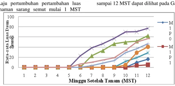 Gambar 8.  Grafik  pertumbuhan  rata-rata  luas  daun  tanaman  umur  1  MST  sampai  12  MST  pada  perlakuan pupuk dan media tanam 