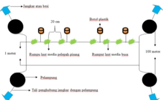 Gambar 1 Metode tanam long line rumput laut