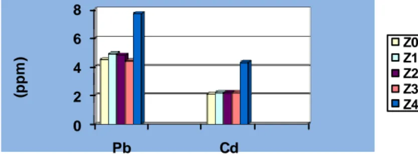 Gambar 7. Akumulasi ion Pb dan Cd dalam brangkasan jagung 