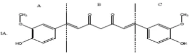 Gambar 1. Senyawa kurkumin sebagai senyawa penuntun dibagi menjadi tiga gugus farmakofor A, B, dan C (Robinson et al., 2003) 