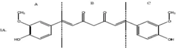 Gambar 4. Senyawa kurkumin sebagai senyawa penuntun dibagi menjadi tiga gugus farmakofor A, B, dan C (Robinson et al., 2003) 