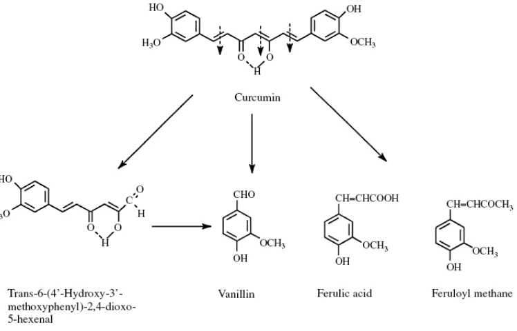 Gambar 3. Degradasi kurkumin dalam larutan (Wang et al., 1997) 
