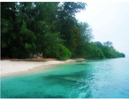 Gambar 4. 2 Wisata Pulau Kelapa Sumber: Jakarta.panduanwisata.id 