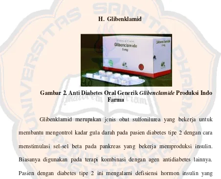 Gambar 2. Anti Diabetes Oral Generik Glibenclamide Produksi Indo 