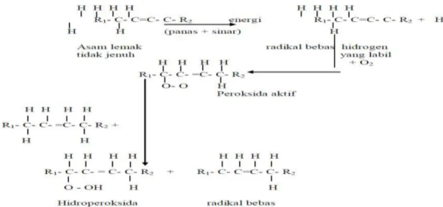 Gambar 1. Reaksi Oksidasi Lemak atau Minyak pada ASI 