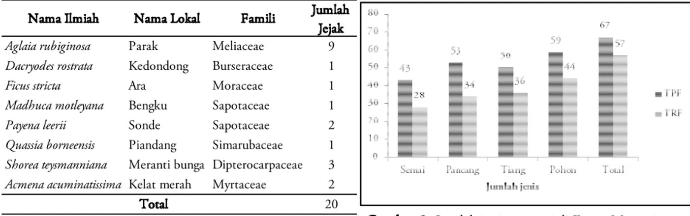 Tabel 1. Jenis-jenis vegetasi yang terdapat jejak beruang  madu 