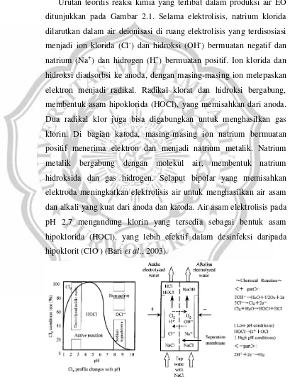 Gambar 2.1. Prinsip electrolyzed oxidizing water (Bari et al., 2003)