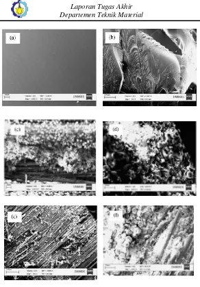 Gambar 2.13 Mikrografi SEM sampel (a) Epoksi Murni, (b) EVER + Styrene, (c) EVERL-1,(d) EVERL-2, (e) EVERL-3, (f) EVERL-4 (Sultania,2009) 
